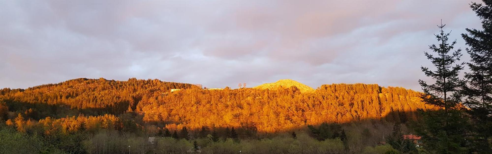 Apartamento Fjordclaw Snm- Adjoining The City & Nature Bergen
